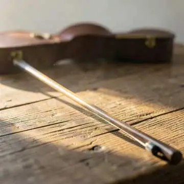 Vox Doc Curious Violin Loop - v1