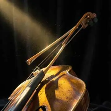 Vivaldi Solo Cello Intro - v1