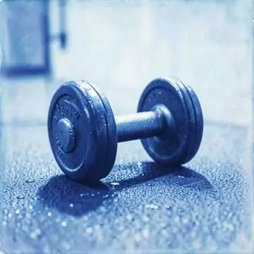 The Workout - v1