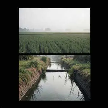 Muwashshah of the Dutch Polders - v1