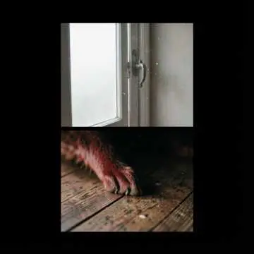 Foxes Together, Forever True - v1