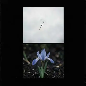 Miłość i Śmierć - v1