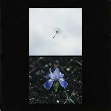 Miłość i Śmierć - v2