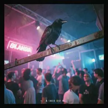 Ravers Night Party mix