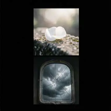 Immortality - v2