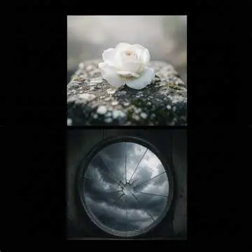 Immortality - v1